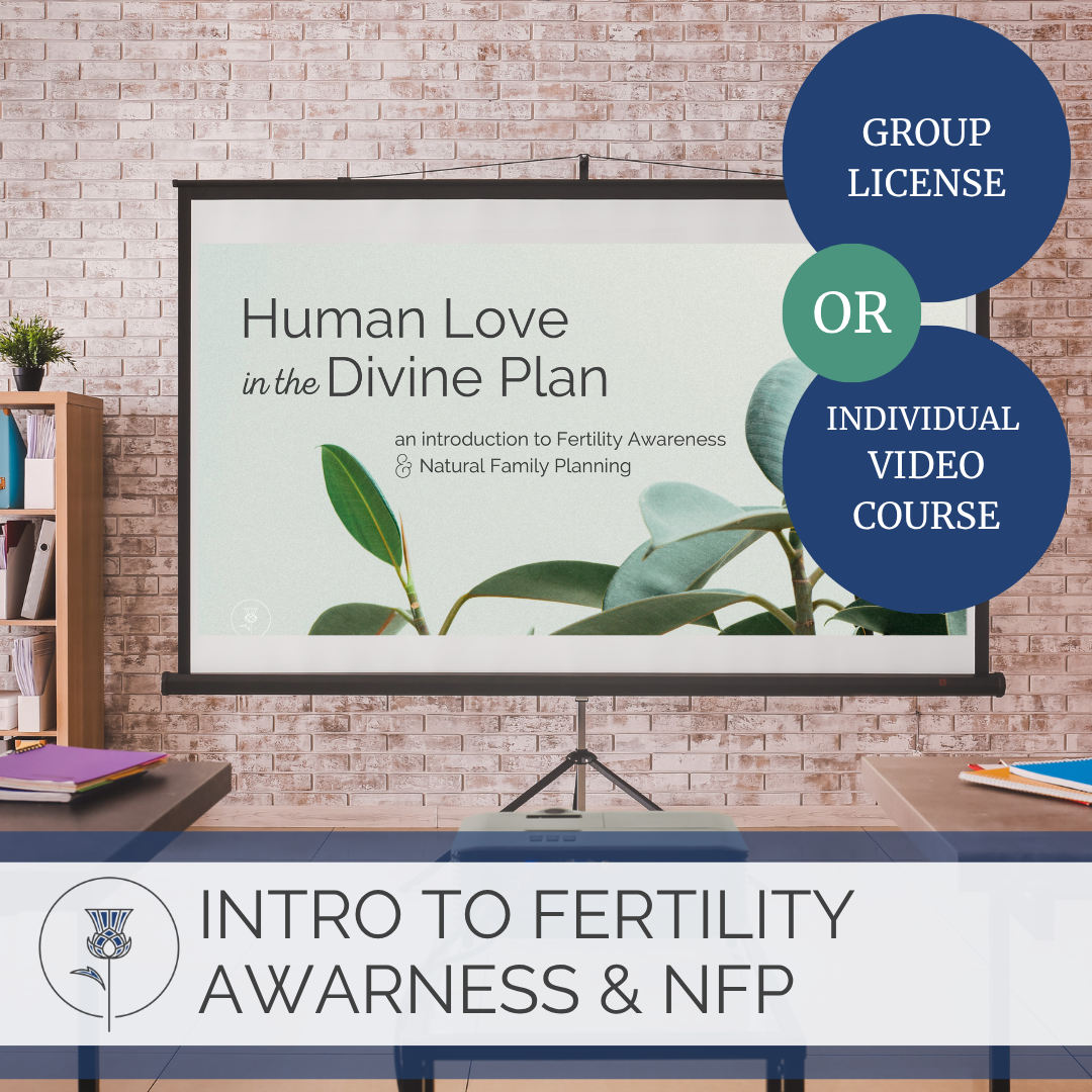 projector screen shows "human love in the divine plan" slides with text that offers group licensing or individual video access