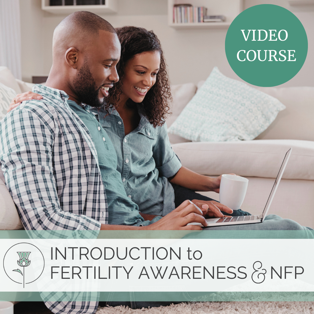 intro to fertility awareness and NFP