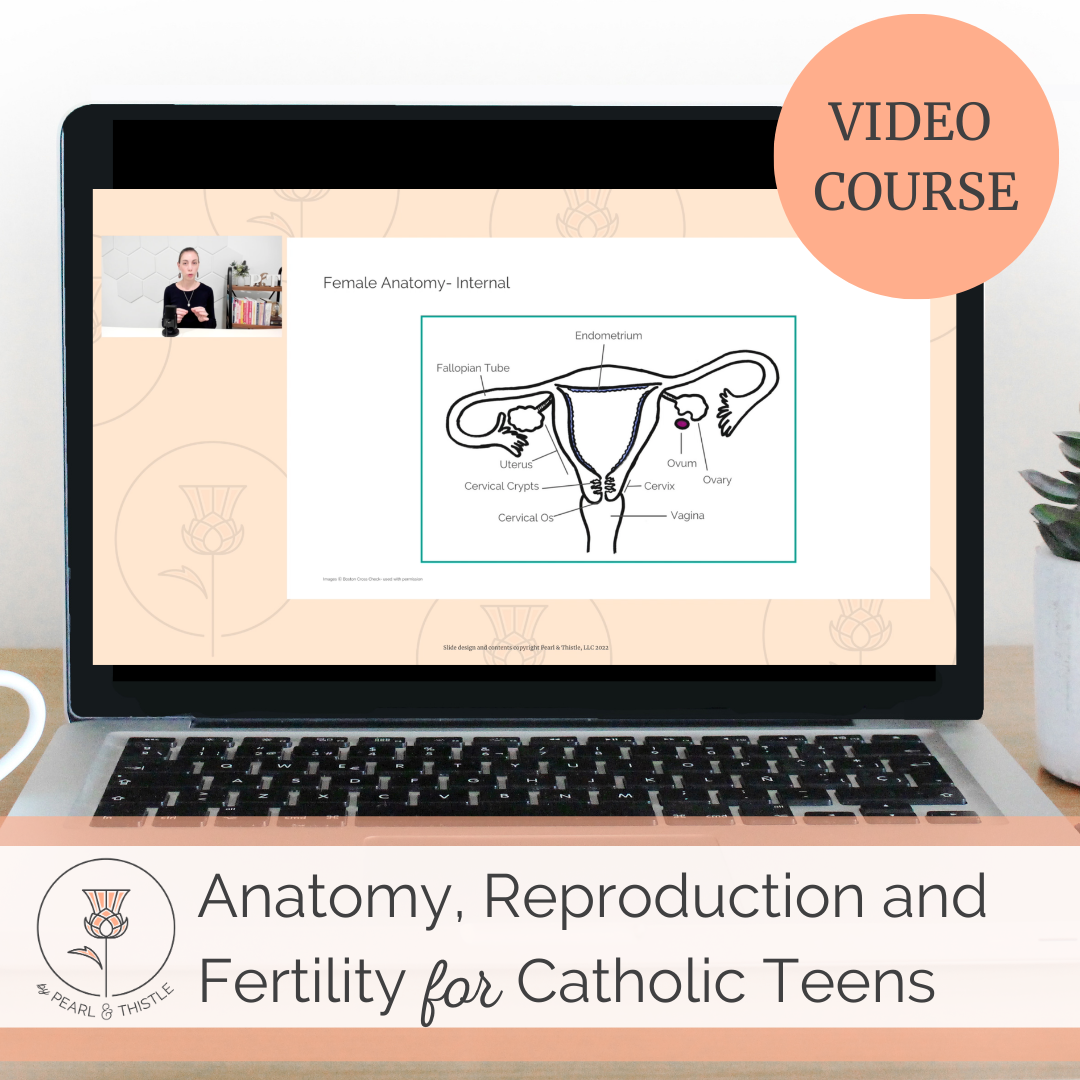 anatomy reproduction and fertility for catholic teens video course